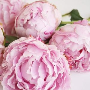 Meet your Posher, Carla